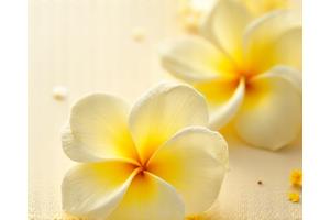 Bunga Ylang-ylang